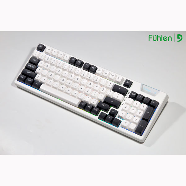Bàn phím cơ Fuhlen H95S Panda RGB - Hotswap (Yellow Pro switch/ White)