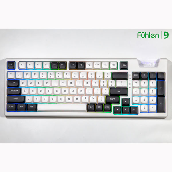Bàn phím cơ Fuhlen H95S Panda RGB - Hotswap (Silver Pro switch/ White)