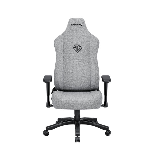 Ghế Game AndaSeat Novis Series Grey (AD23-L-01-G-F)